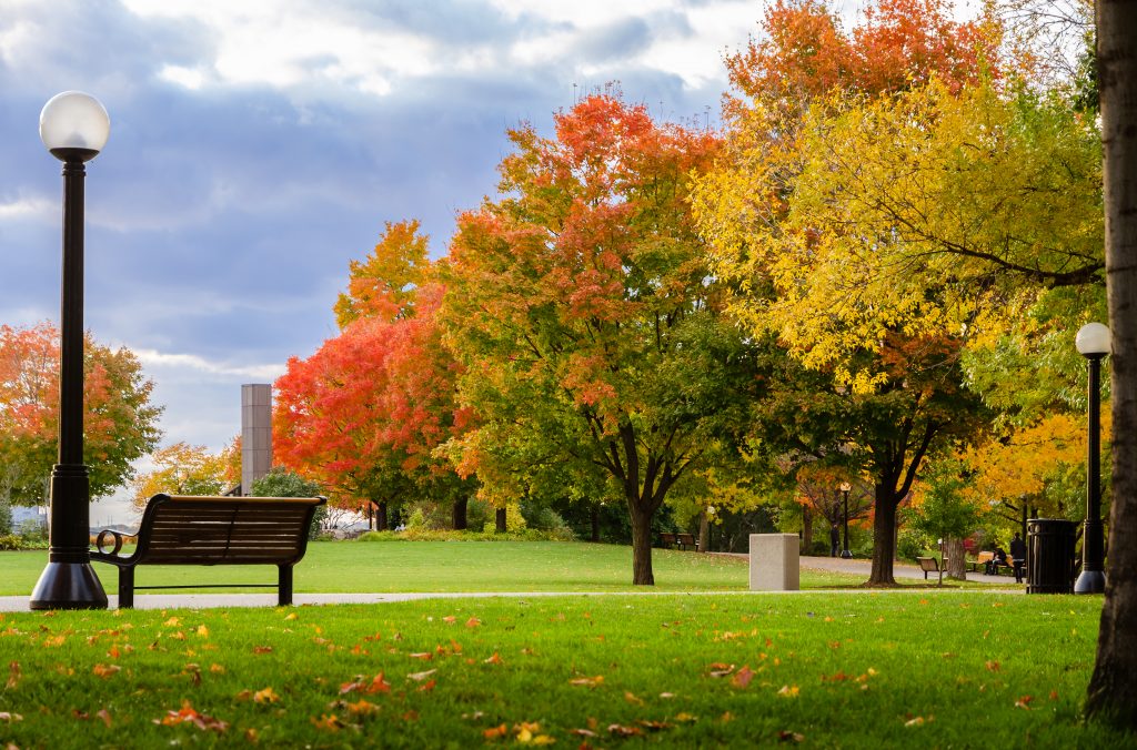 How to Prepare Your Roof for an Ottawa Fall | Classic Roofing